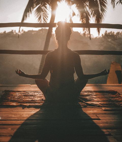 Vitality, Health & Well-Being