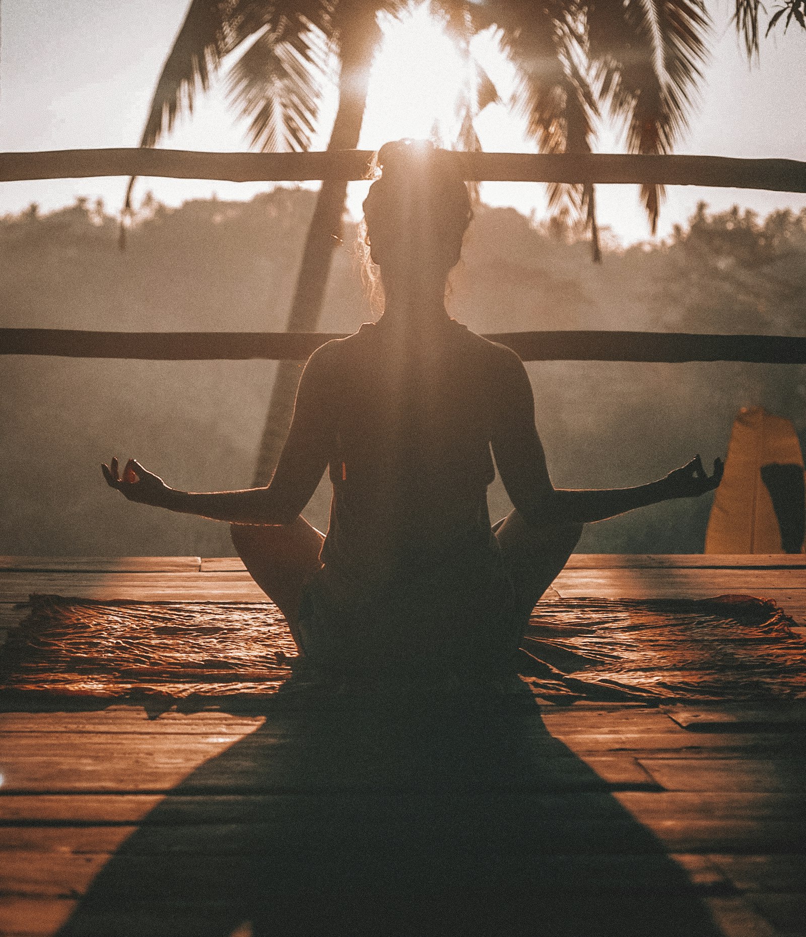 Vitality, Health & Well-Being